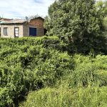 Moradores fazem apelo para manutenção de sanga próximo a residências no bairro Queirolo